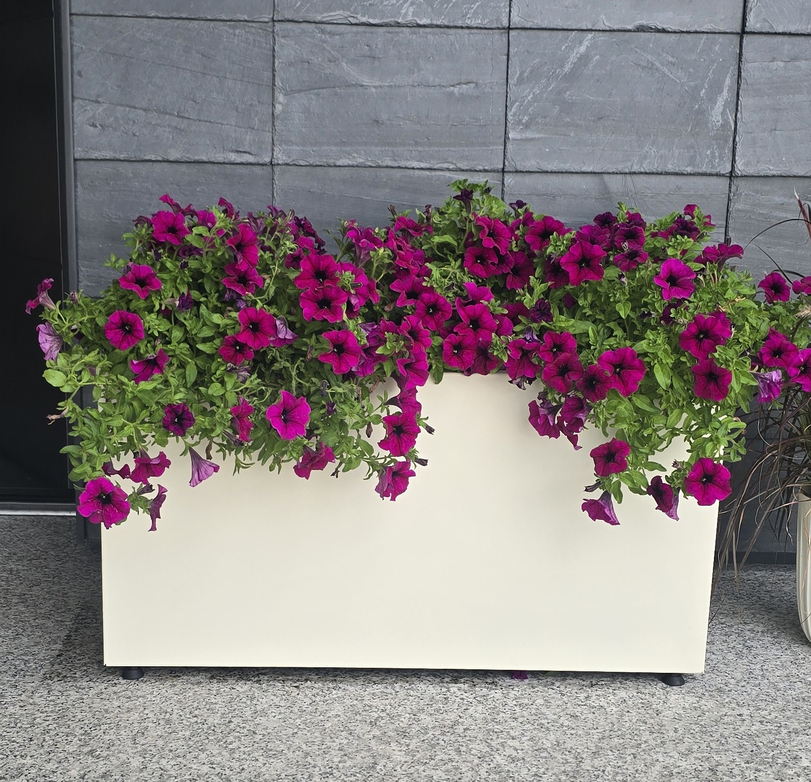 Pflanzentopf 80cm x 40cm – Bild 4