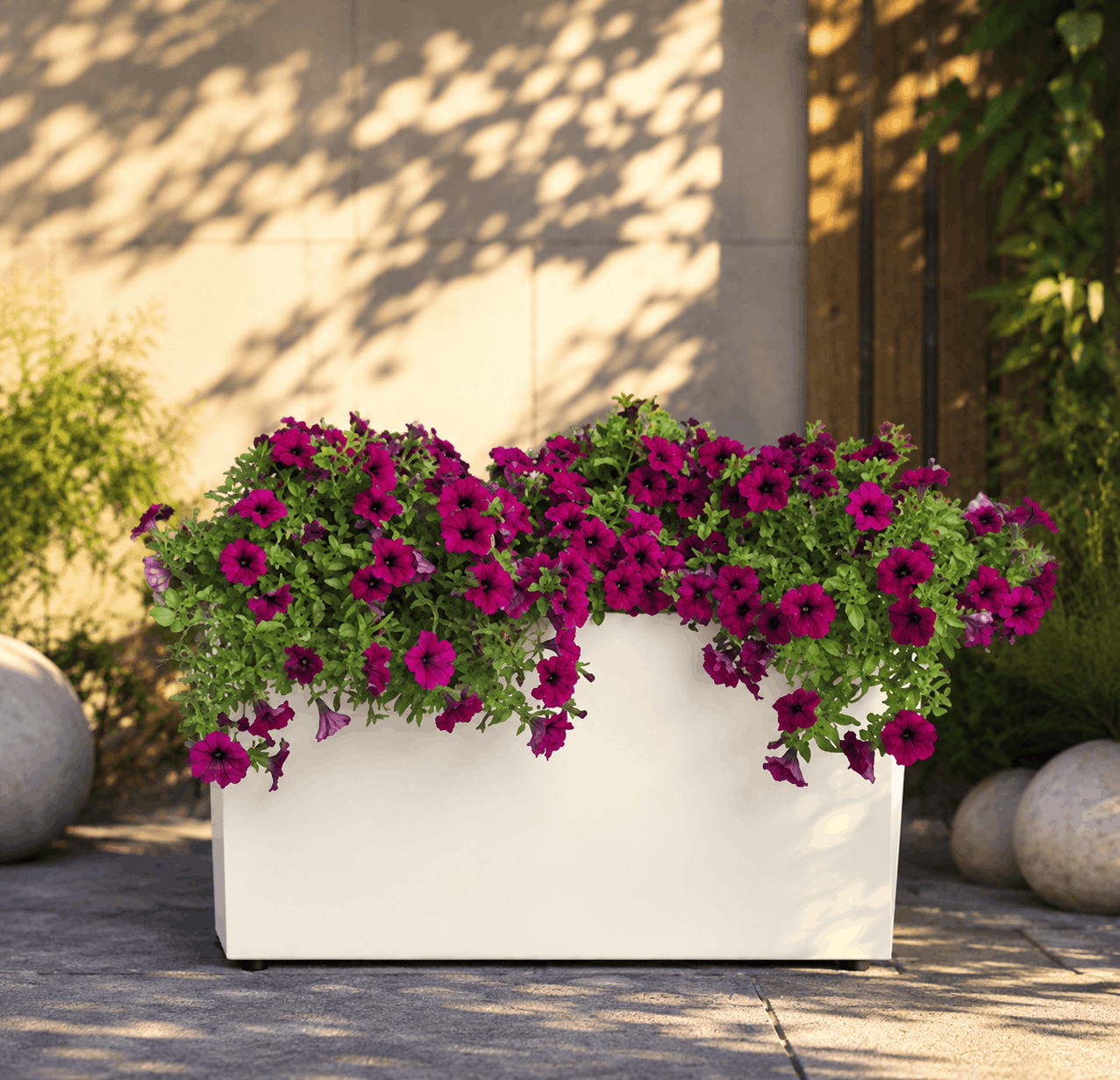 Pflanzentopf 100cm x 50cm – Bild 2